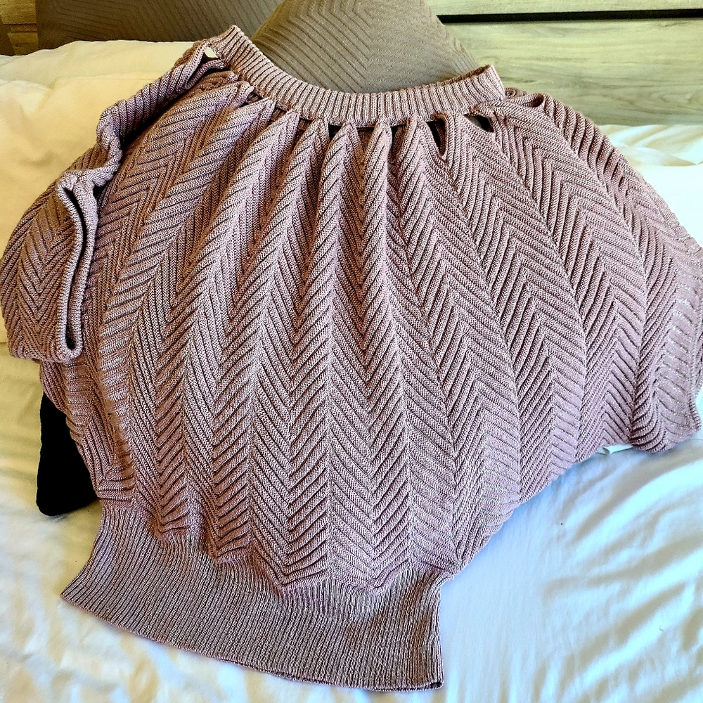 LaneBryant Batwing Sweater Size 18/20